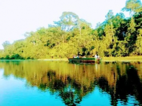 Bromelia Amazon Tours